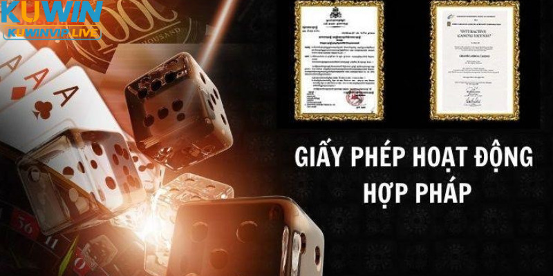 Tìm hiểu khái niệm về giấy phép hoạt động